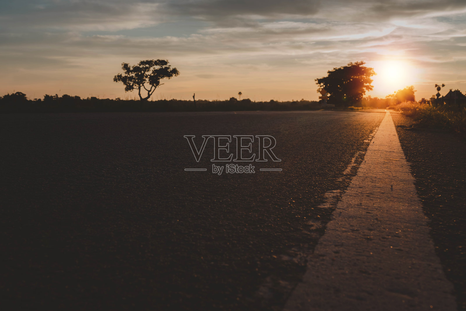 夕阳下的道路以树木自然为背景。照片摄影图片