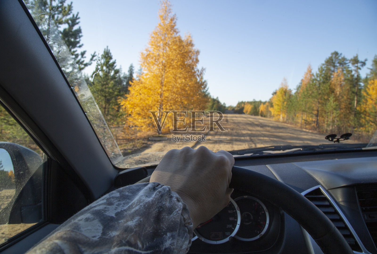 秋天的路上，树木黄澄澄的。照片摄影图片