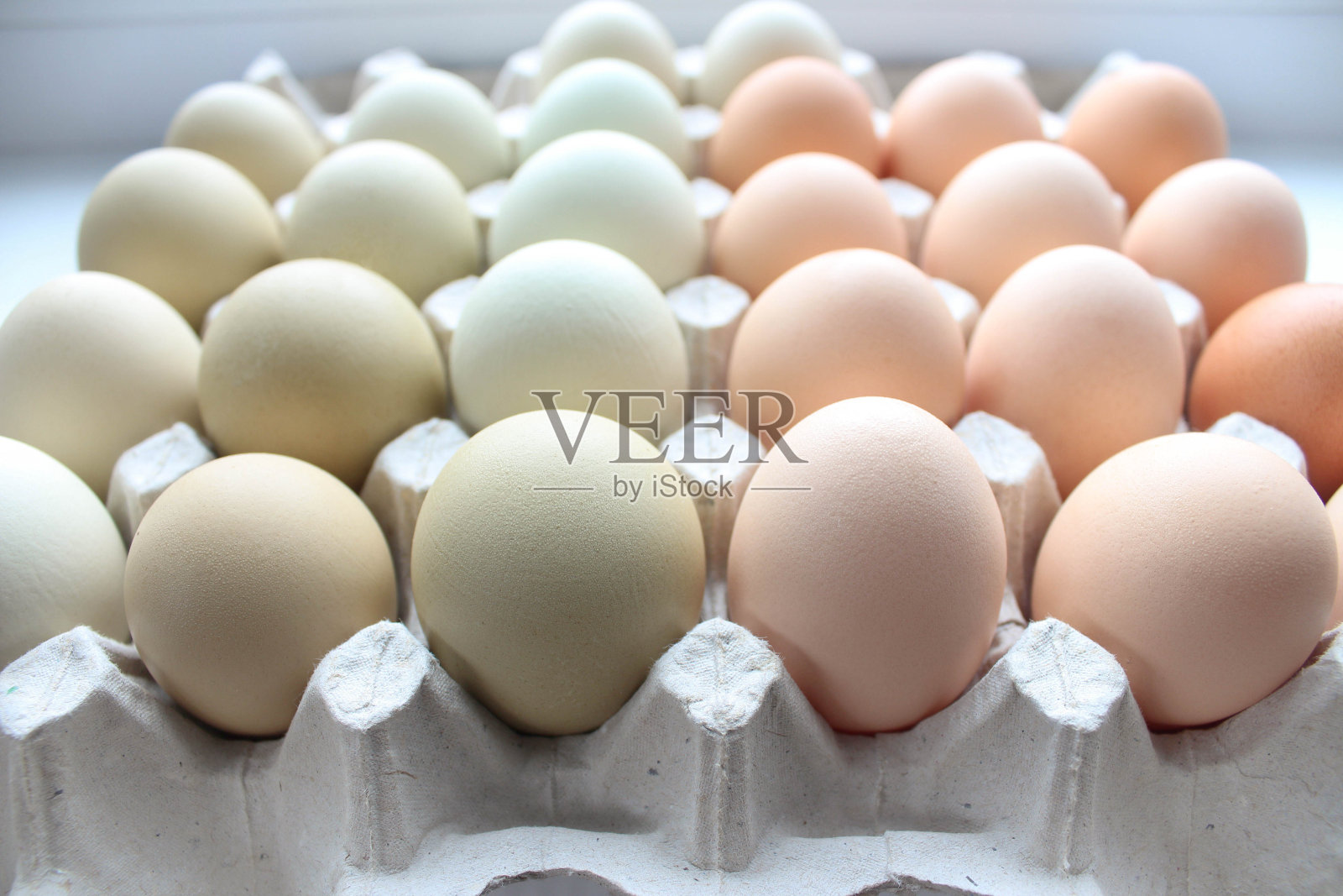 盘子里有许多鸡蛋。棕色和白色的鸡蛋放在纸板蛋盘里。有机鸡蛋是健康蛋白质早餐。复活节的象征。生鸡蛋。蓝色的鸡蛋放在装鸡蛋的纸板箱里。照片摄影图片