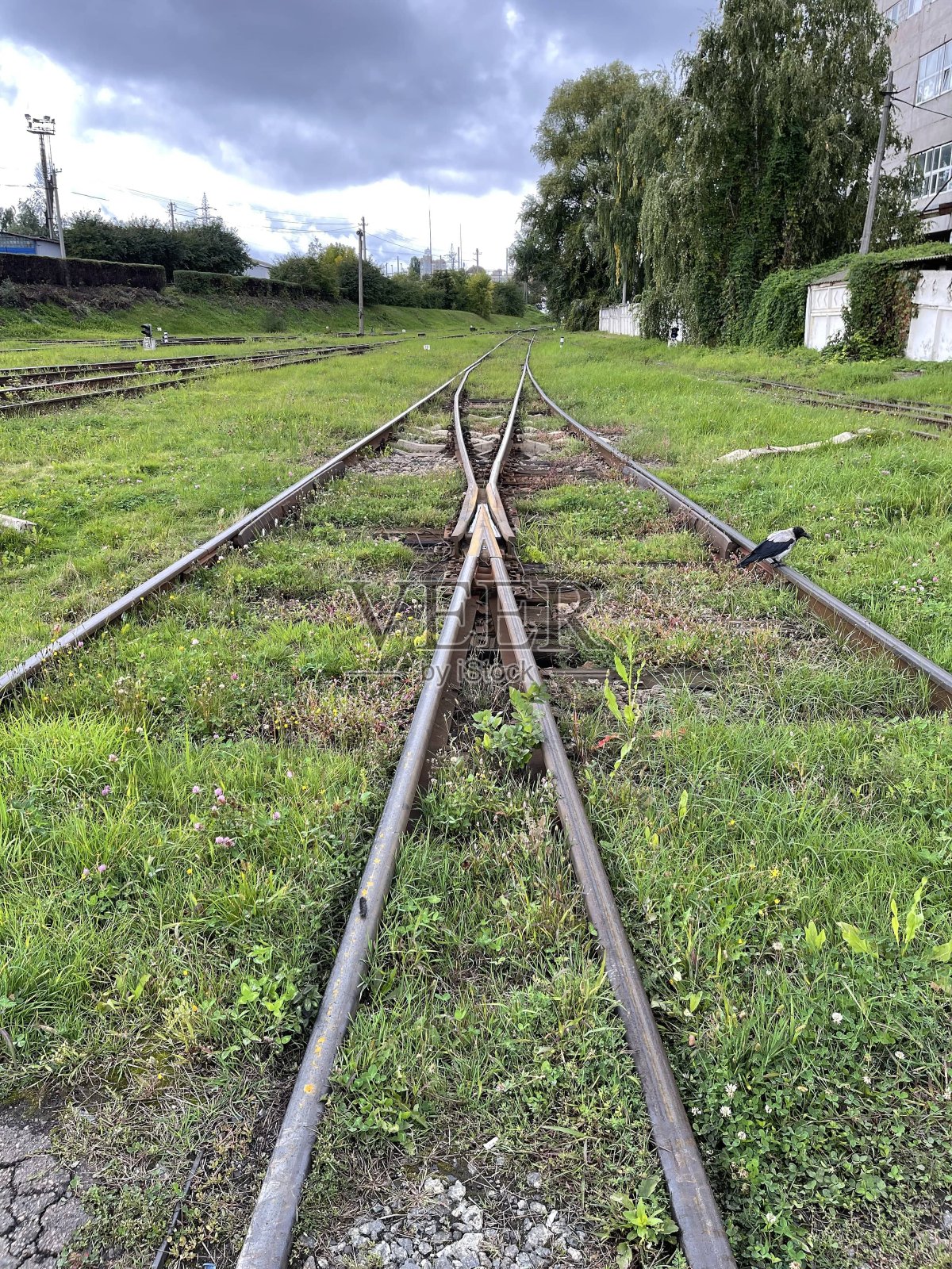 铁路在灰色的秋天天空下照片摄影图片