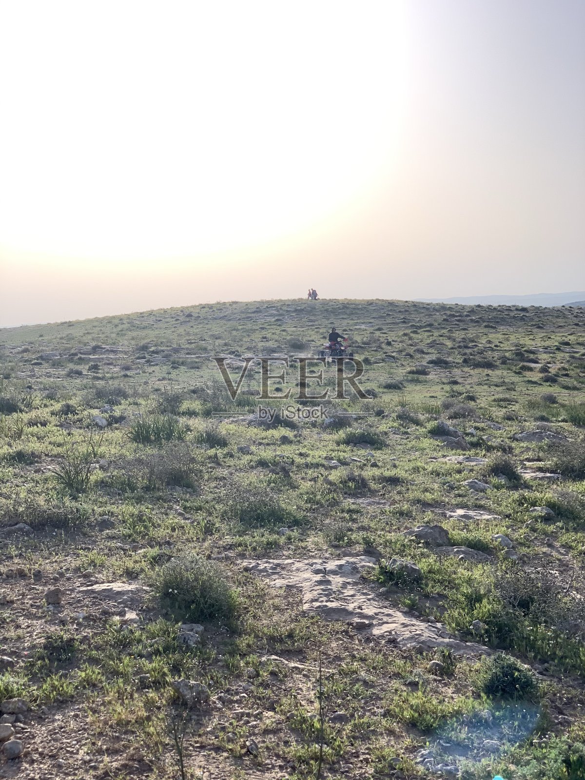 内盖夫西部地区照片摄影图片