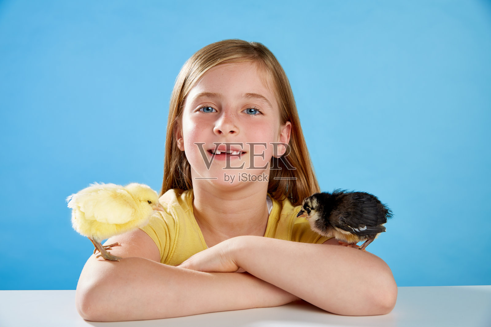 小女孩和小鸡在蓝色上玩耍照片摄影图片