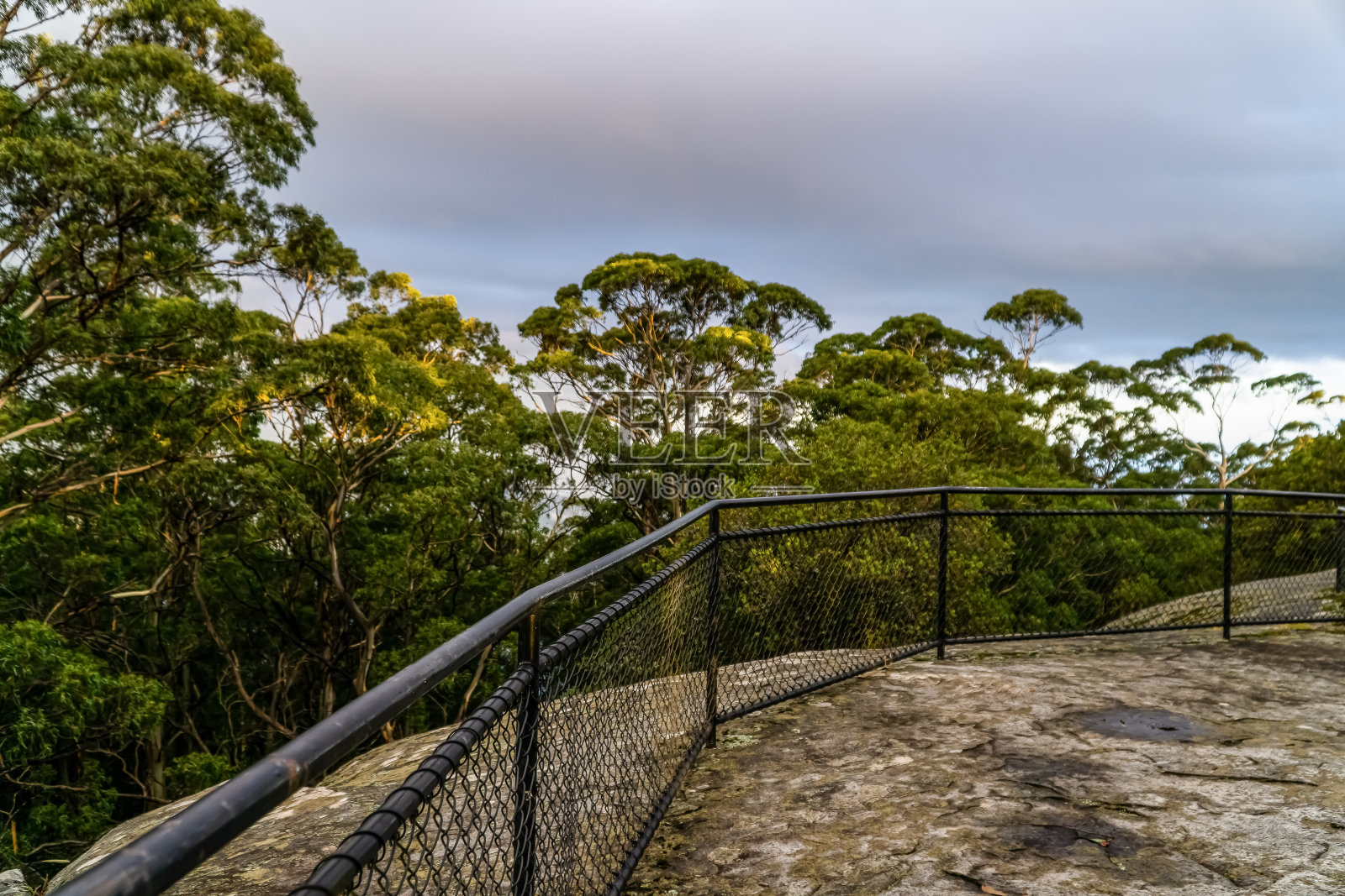 澳大利亚热带雨林中的一座山上的栏杆。照片摄影图片