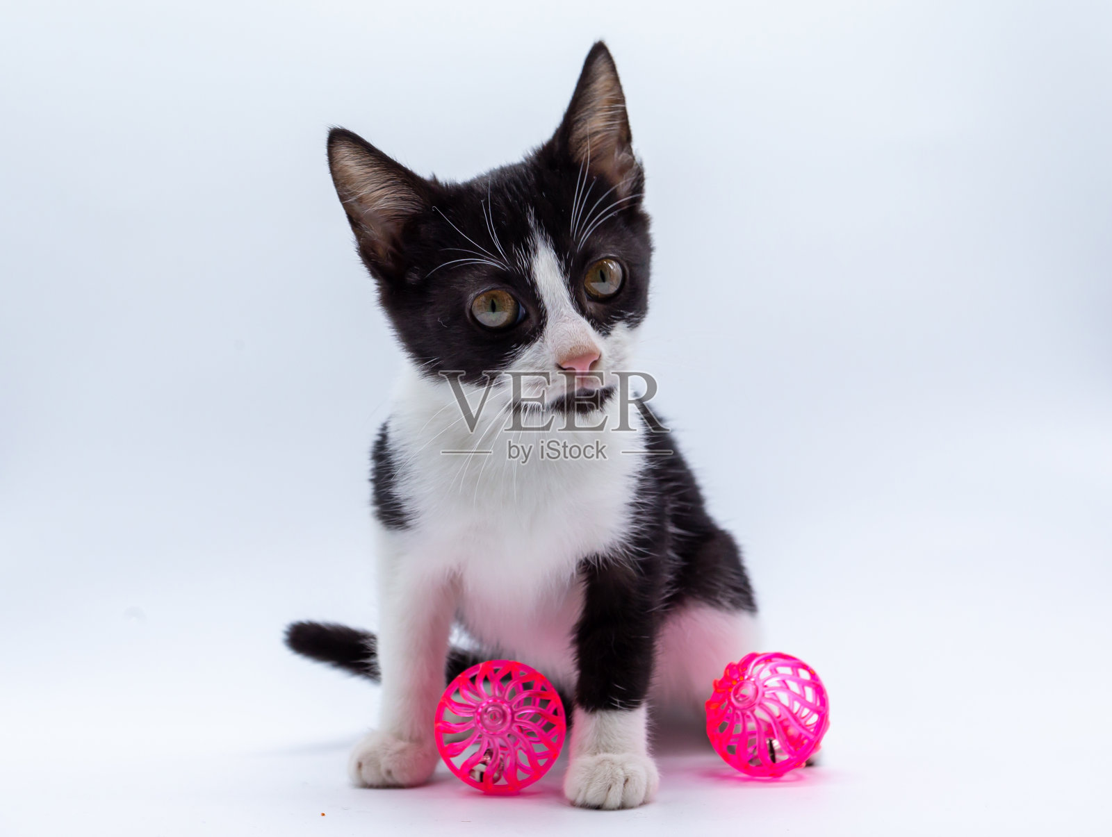 黑色和白色的小猫在玩一个粉红色的球。小型猫科动物。基蒂。照片摄影图片