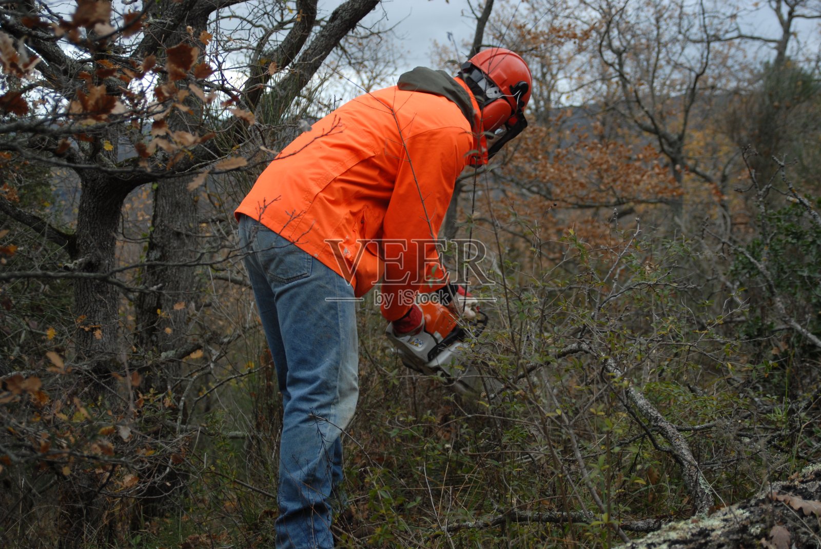 伐木工用链锯砍树照片摄影图片