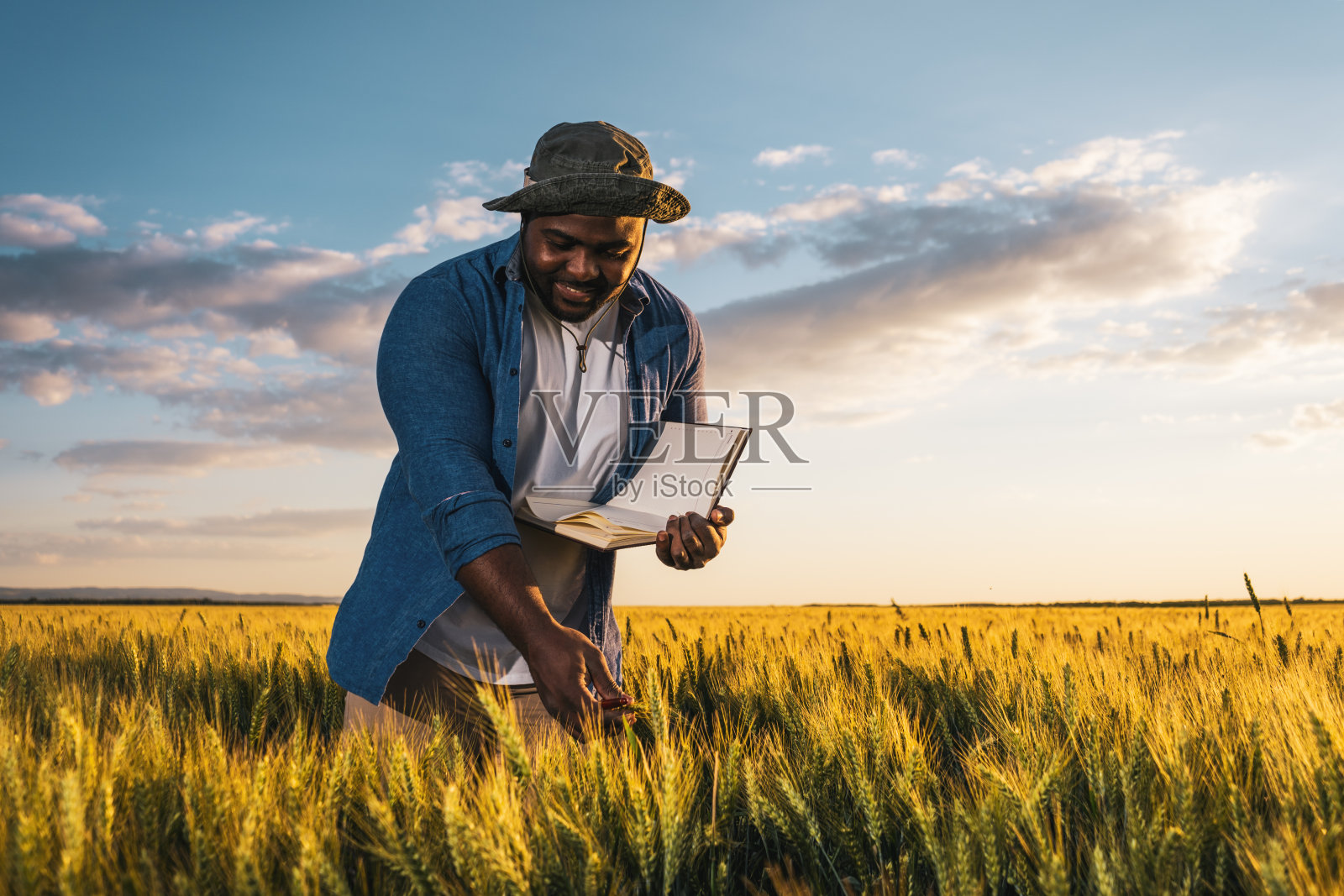 农业照片摄影图片