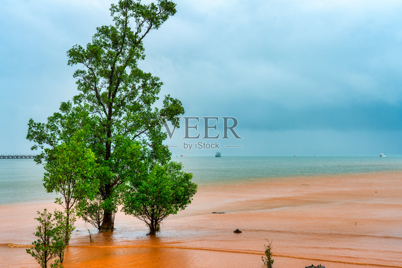 农业径流涌入泰国安达曼海照片摄影图片