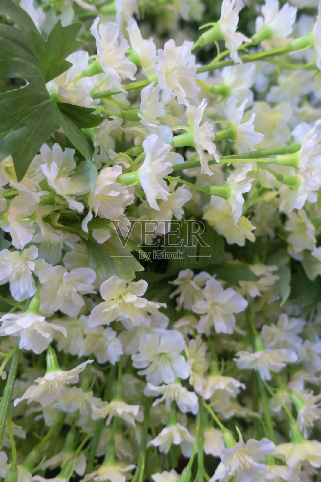 植物和织物花的特写照片摄影图片