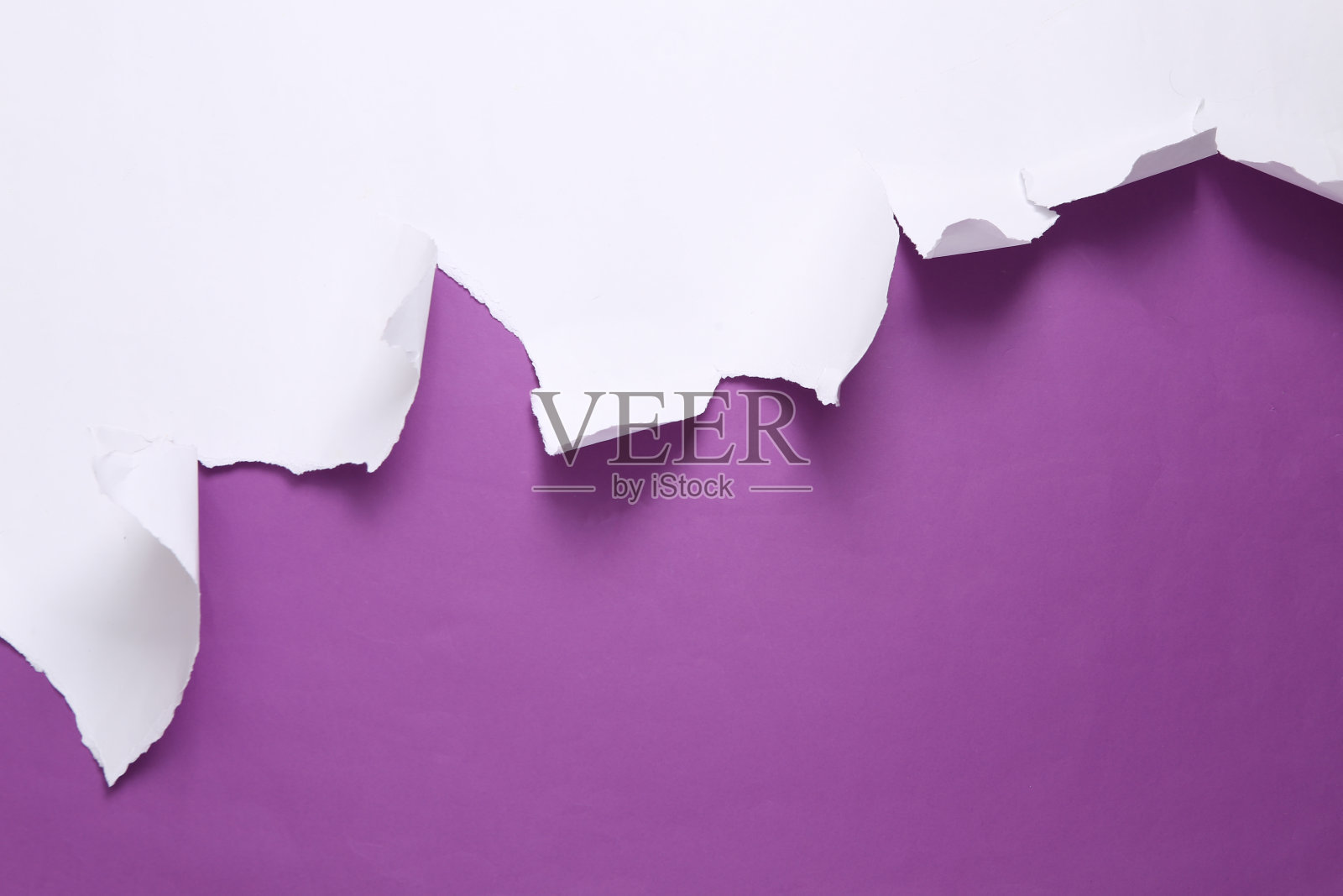 白色撕裂的纸页上紫色的背景。简约的背景。本空间照片摄影图片
