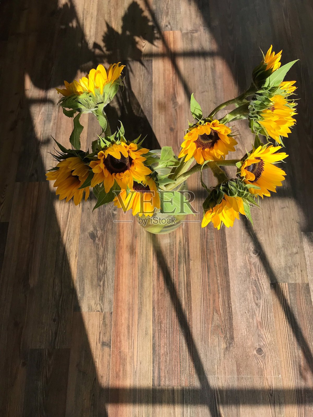 花照片摄影图片