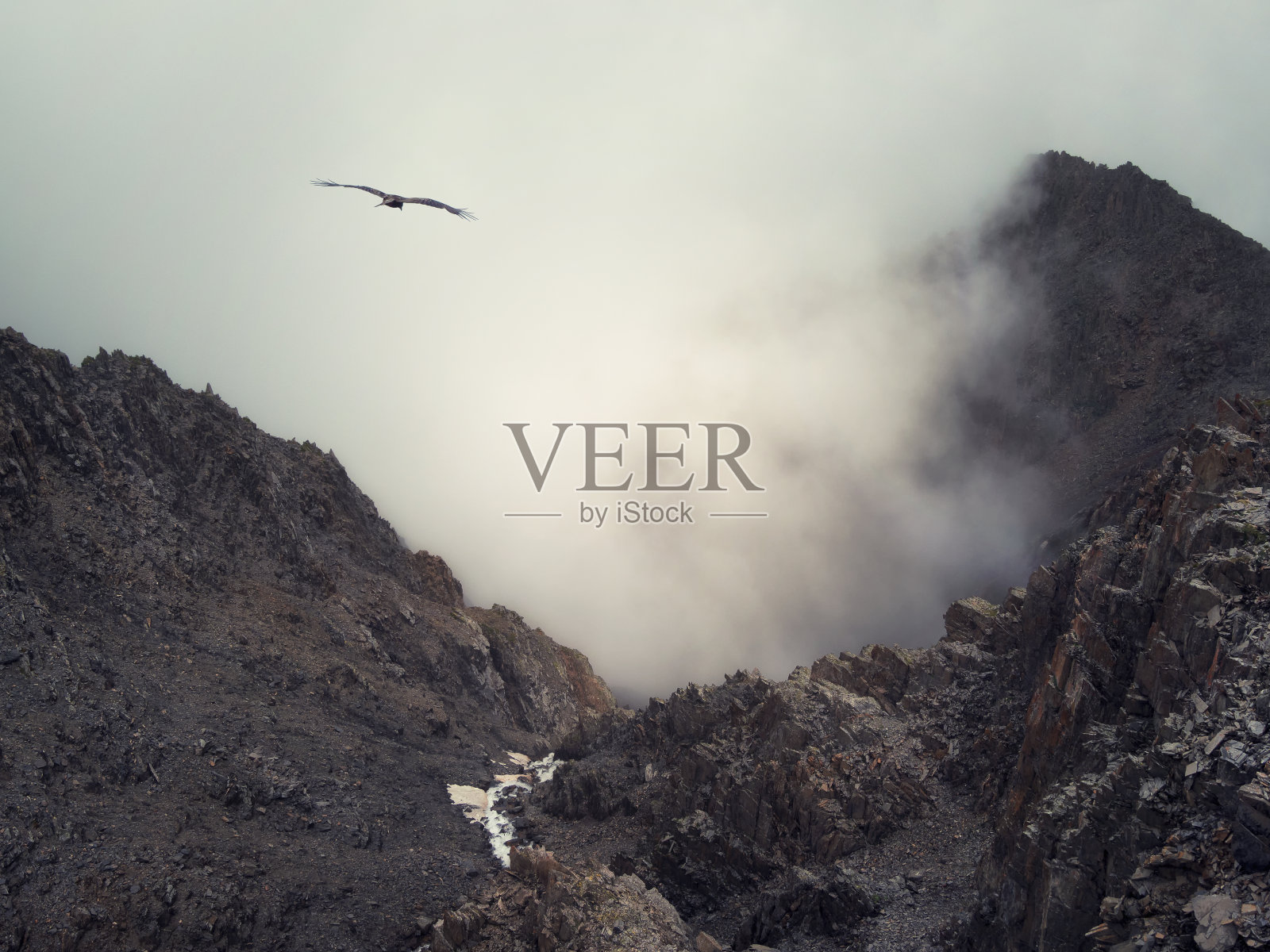 恐怖山的阴影。巨大的落基山脉之间戏剧性的雾。幽灵的大气视图大悬崖。低云和美丽的落基山脉。风景极简的神秘之地。照片摄影图片