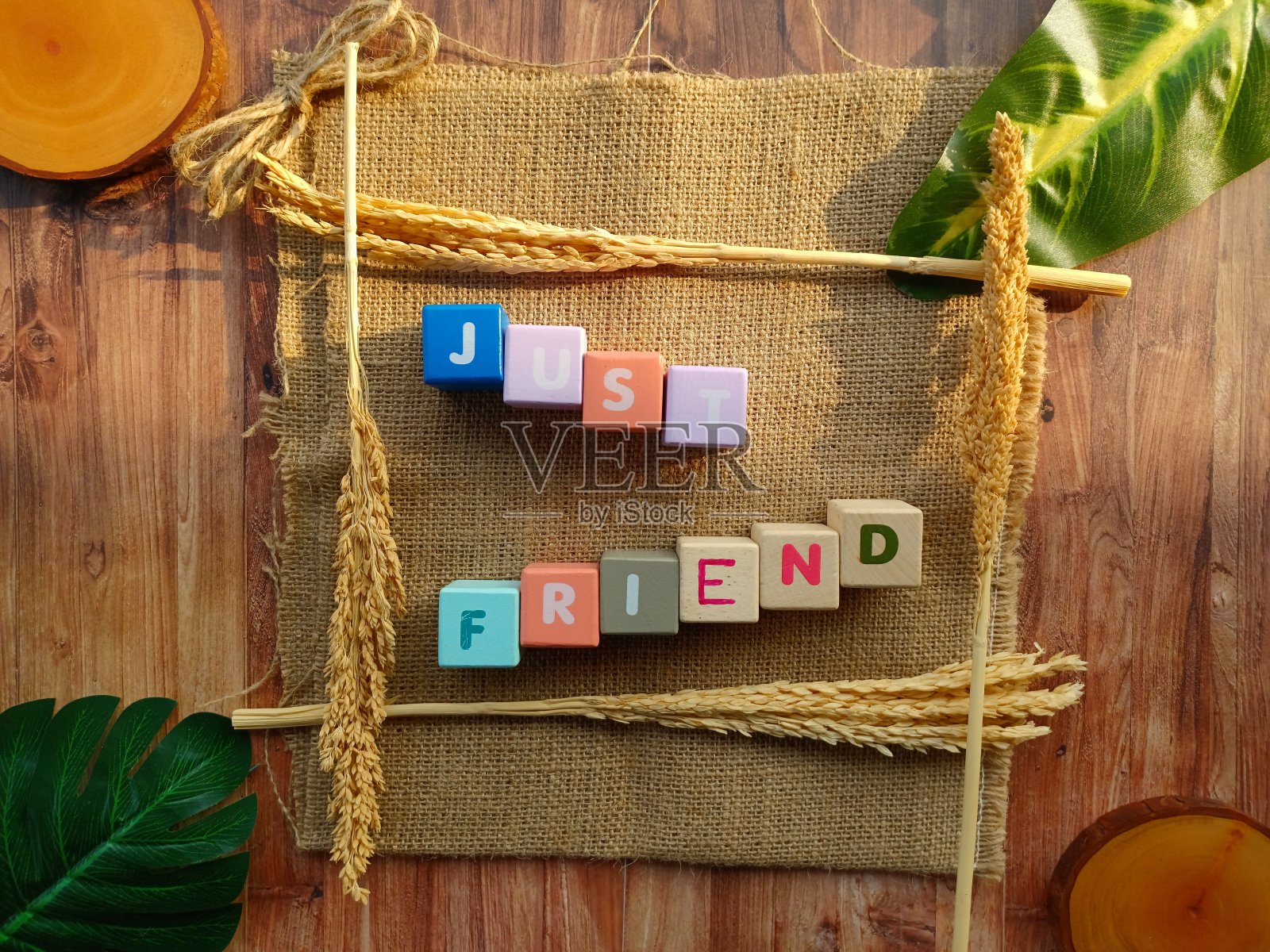 木块构成了“只是朋友”这个词，背景是粗麻袋、树叶和树干照片摄影图片