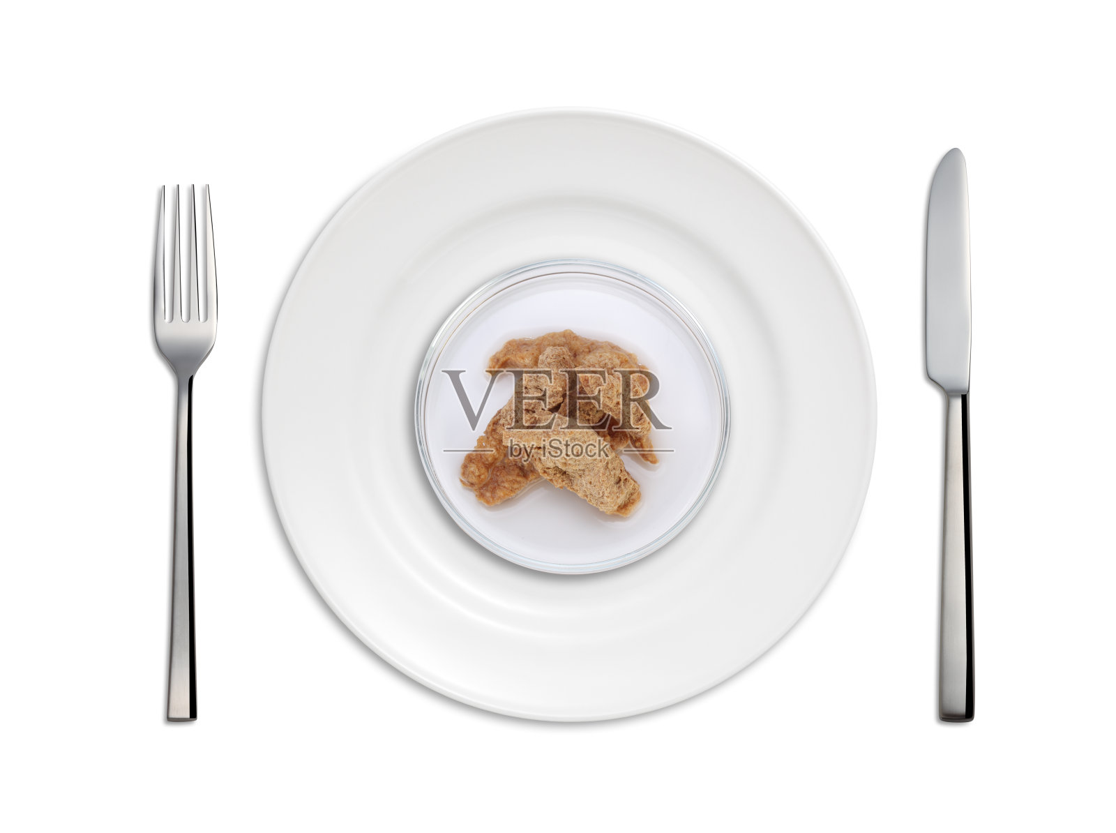 培养肉的概念照片摄影图片