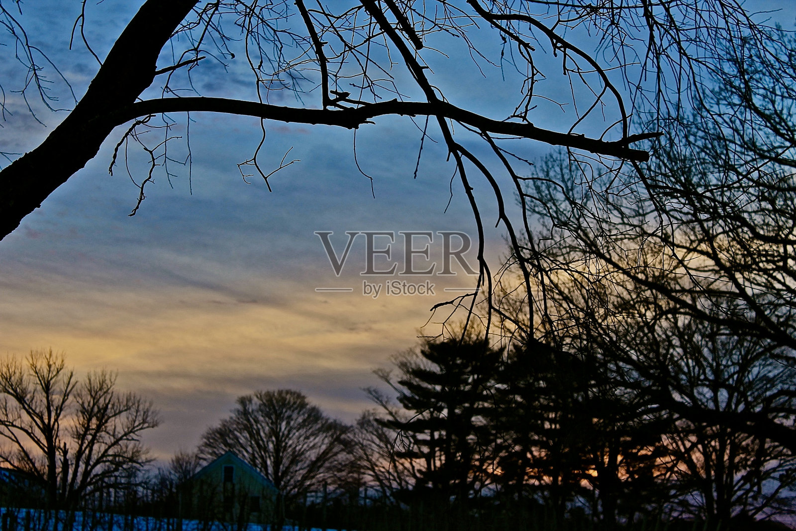 特夫 · 苏内特塞特照片摄影图片