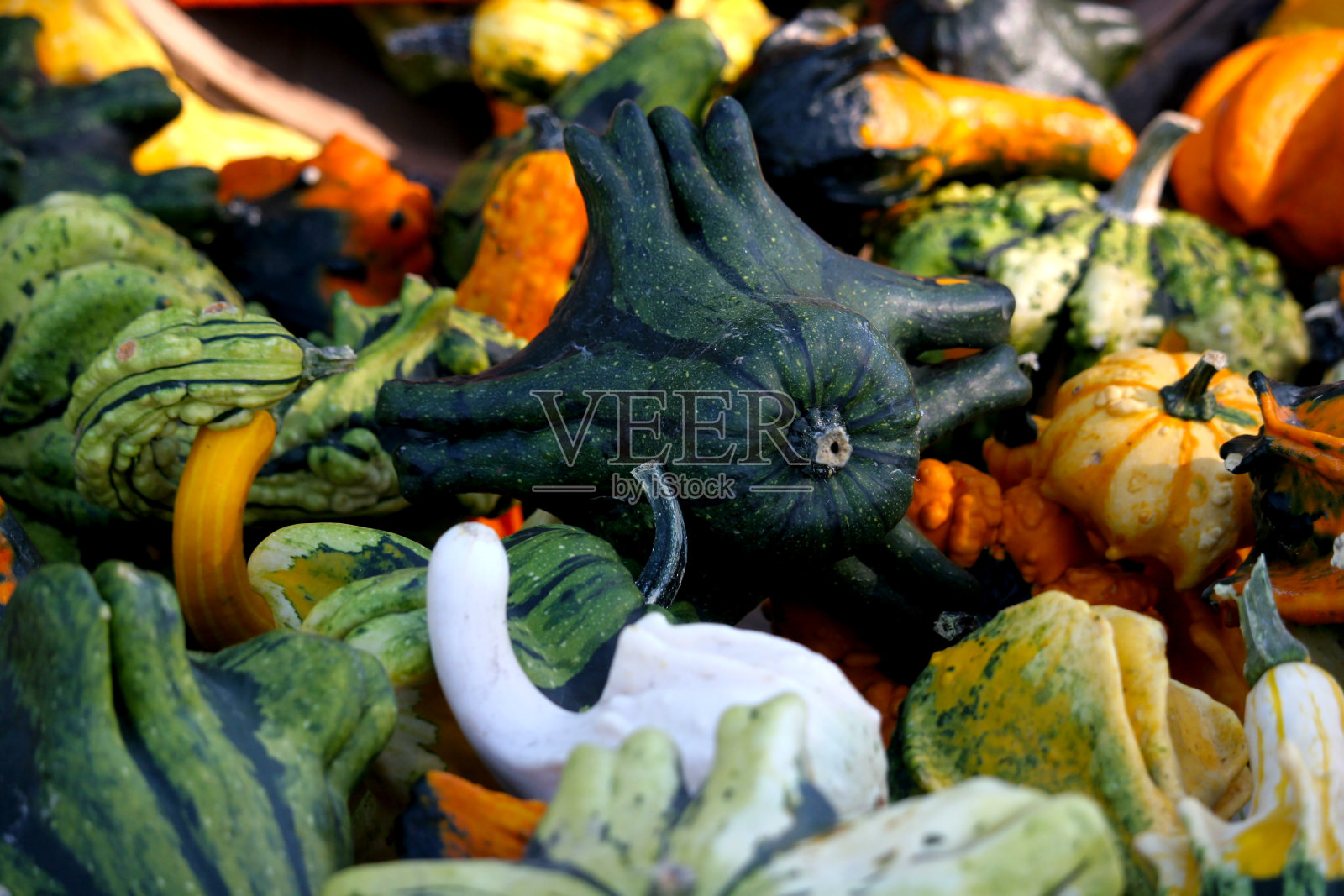 不同形状，颜色和大小的葫芦的背景照片摄影图片