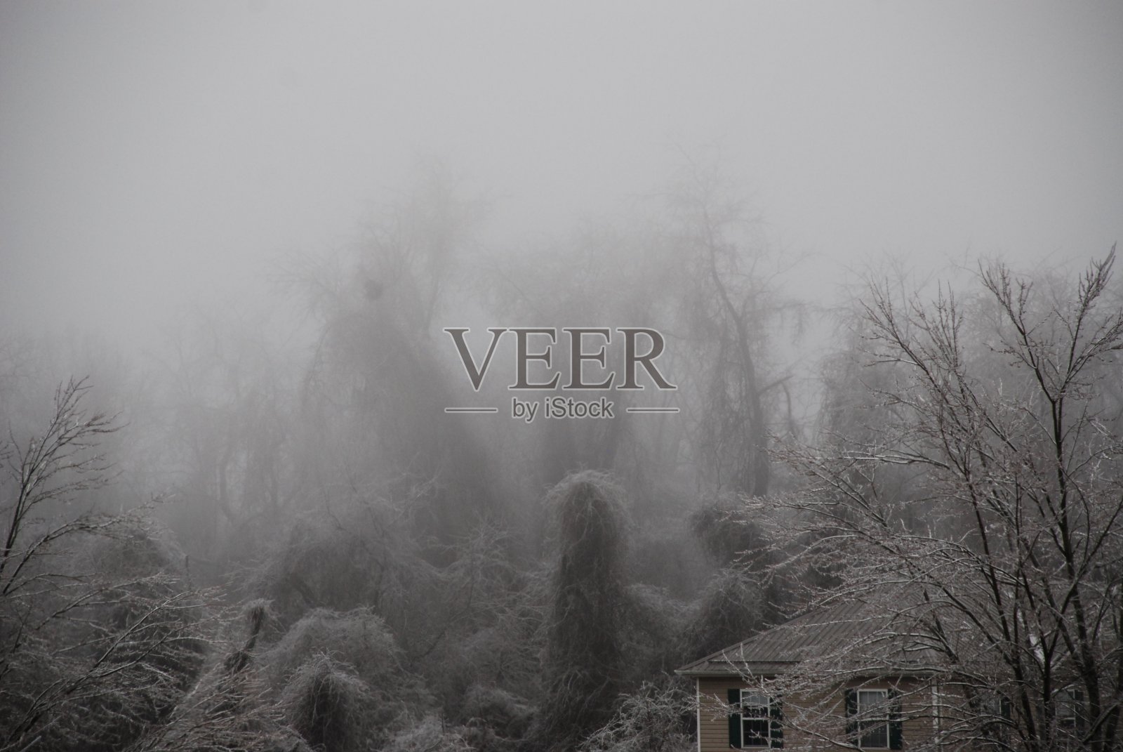 一个雾蒙蒙的早晨照片摄影图片