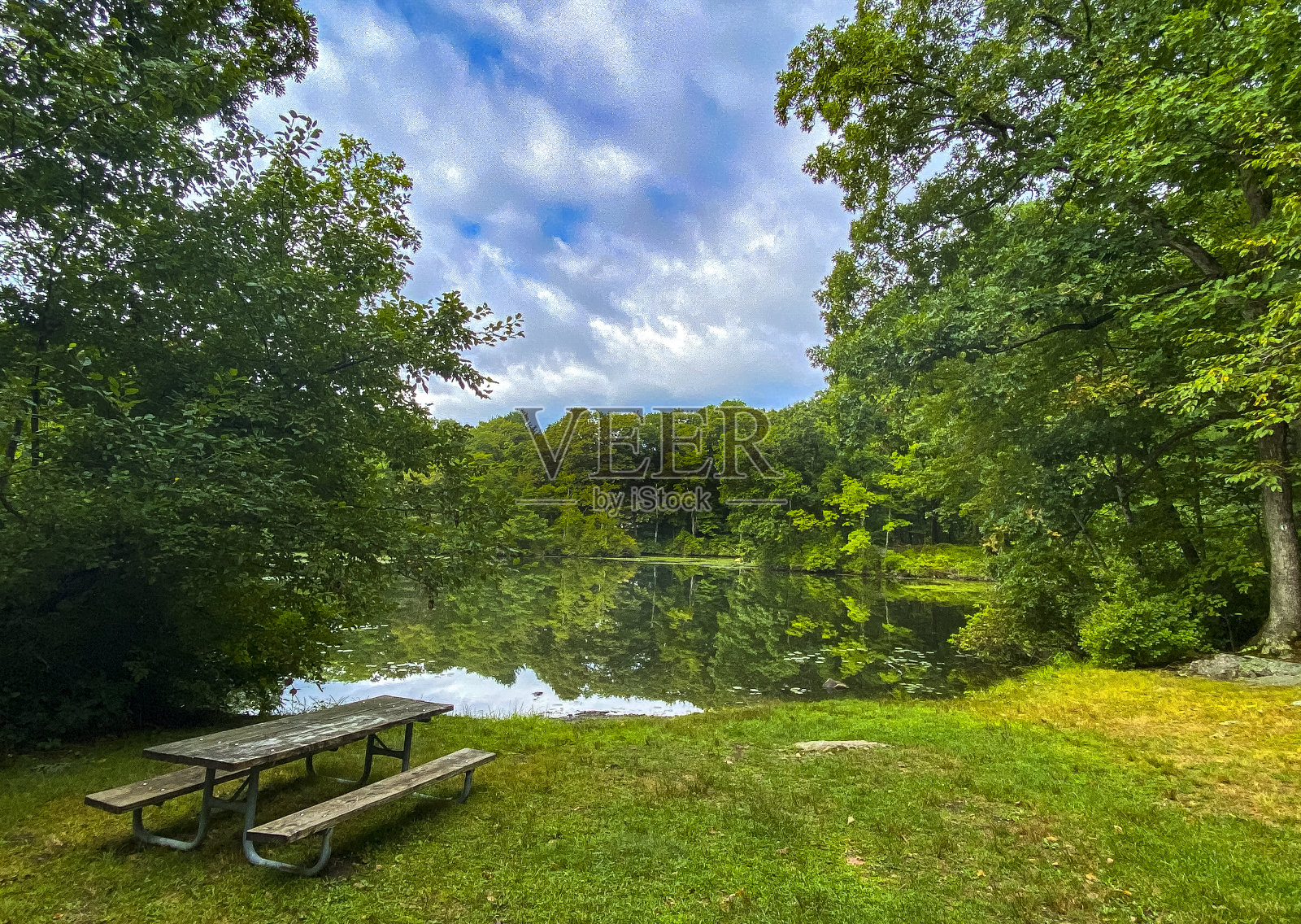 安静的池塘照片摄影图片
