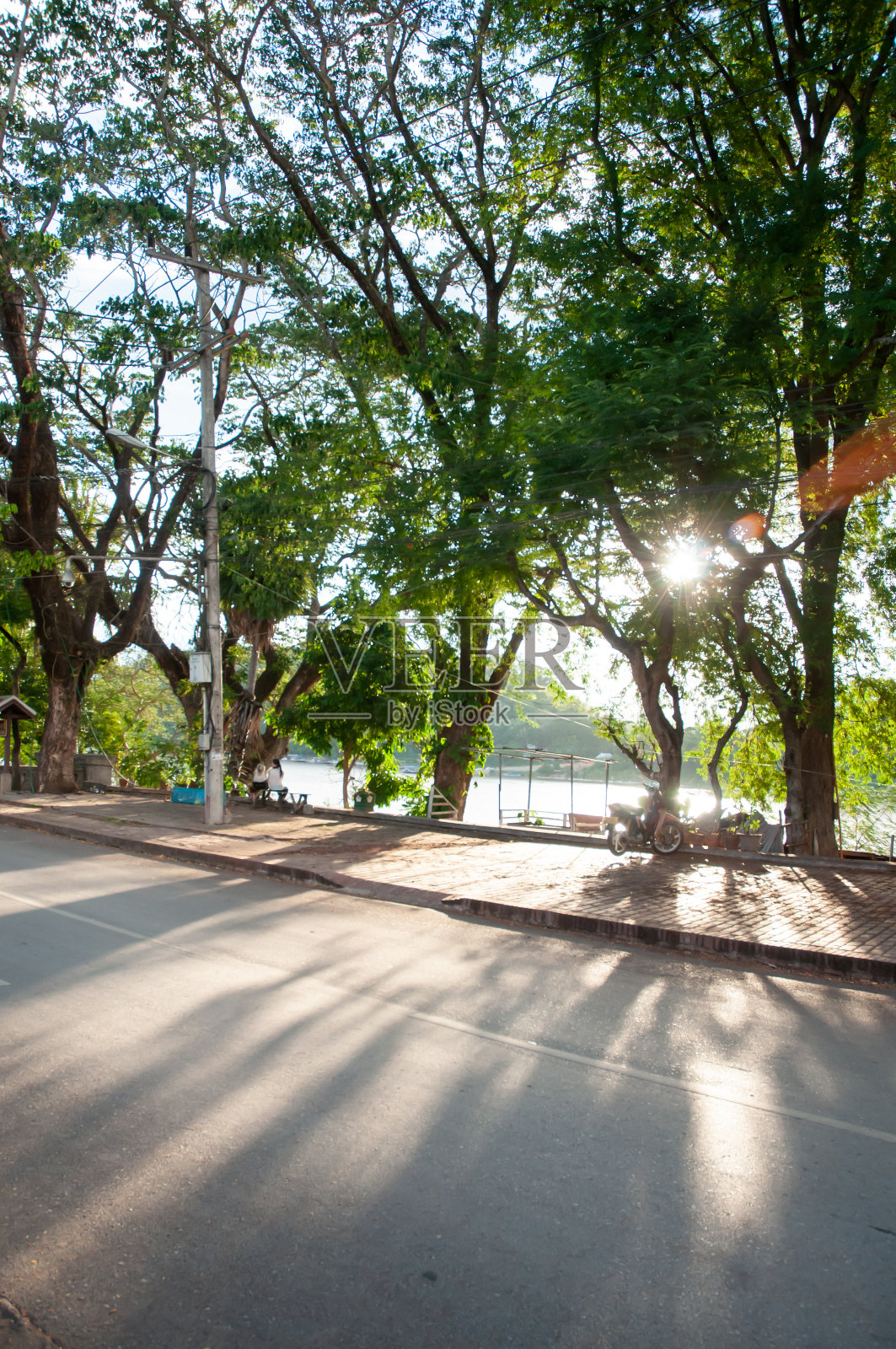 森林里雨中花的美丽照片摄影图片