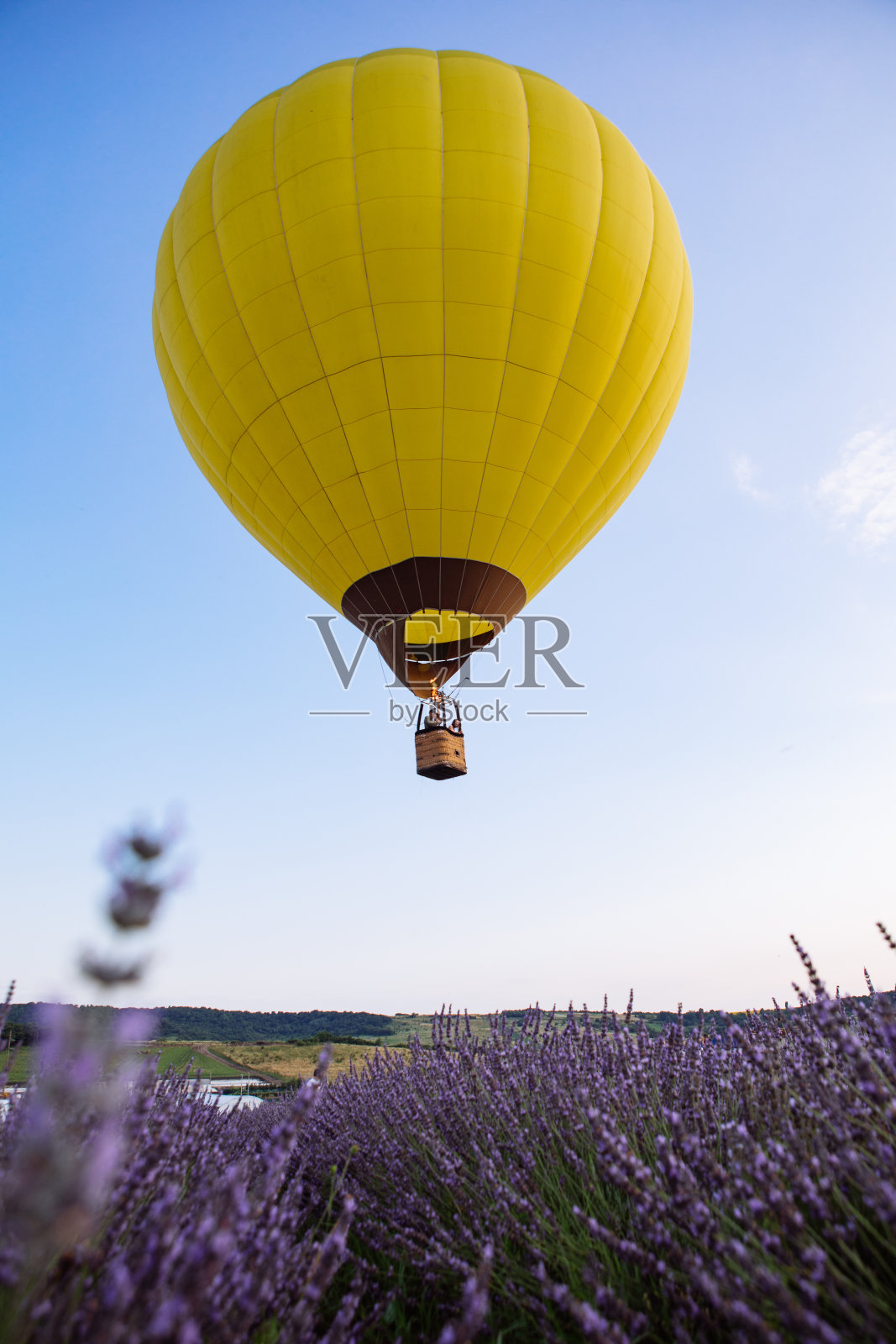 带篮子的气球在薰衣草田之上照片摄影图片