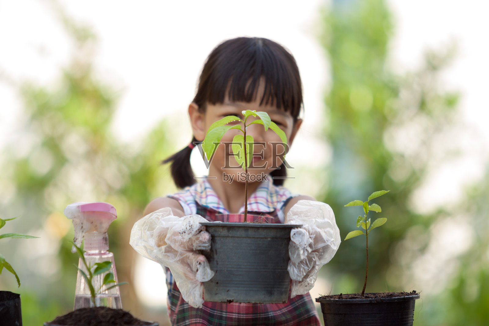 把重点放在盆栽上。一个小园丁的手拿着一个花盆站在他面前。她在学种树。前面有植物、花盆和黑土。照片摄影图片