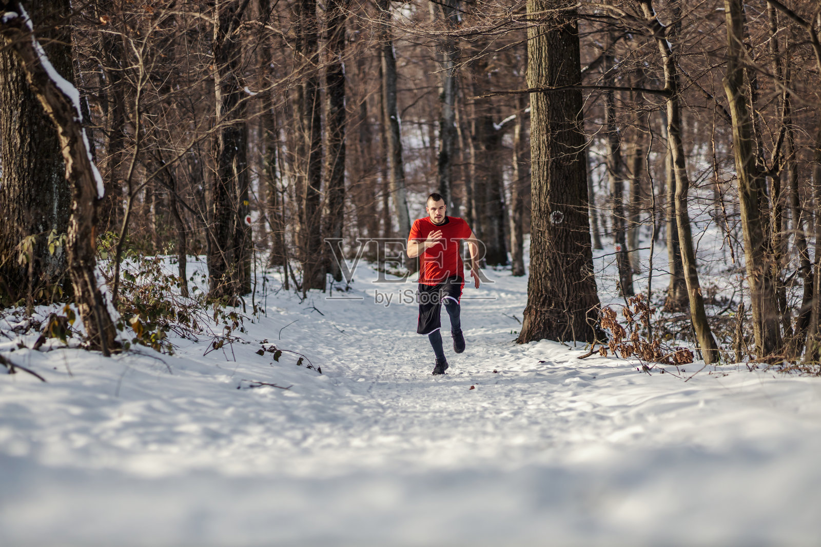 冬天，短跑健将在白雪皑皑的树林里奔跑。冬季健身，户外健身，大自然照片摄影图片