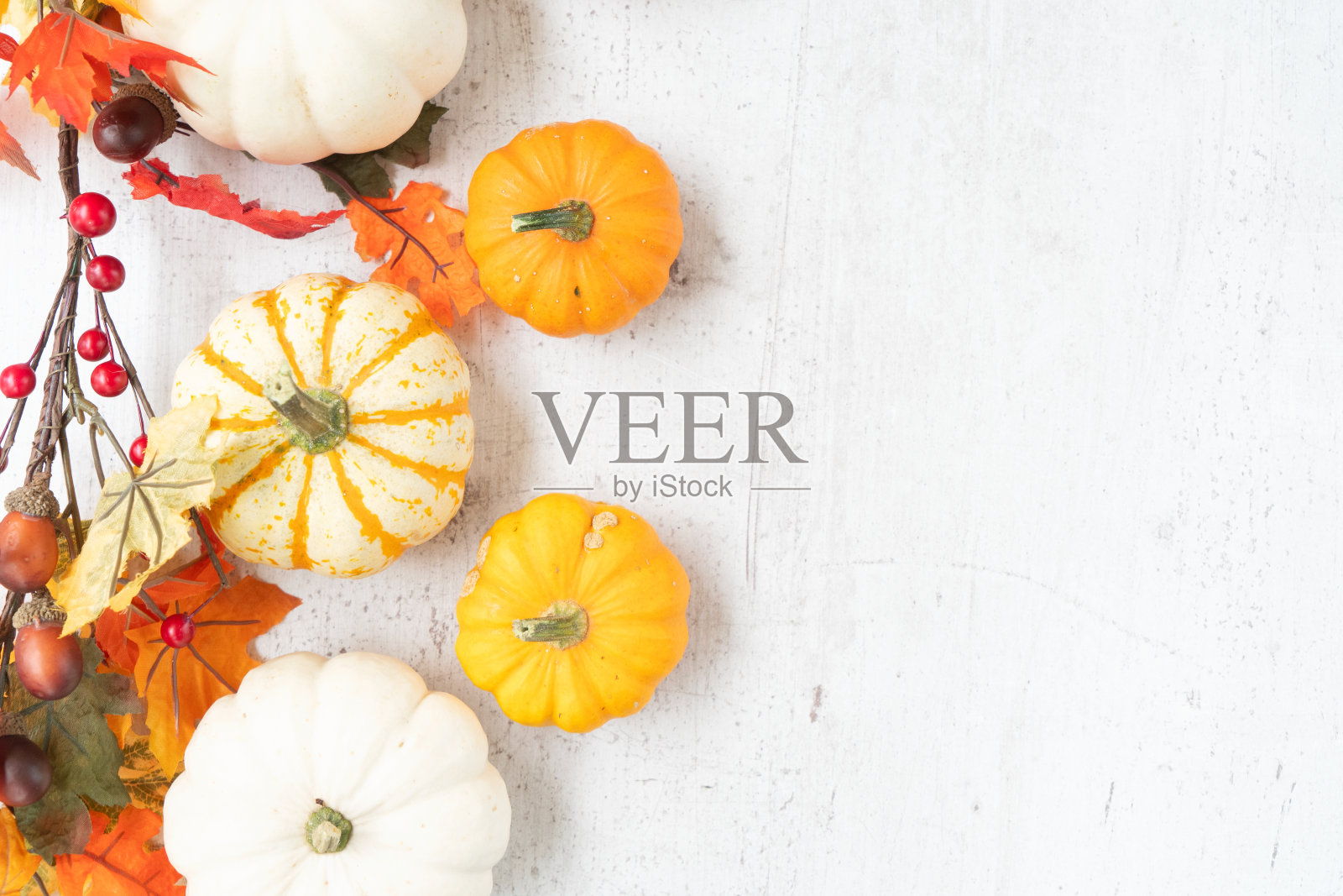 南瓜在表照片摄影图片