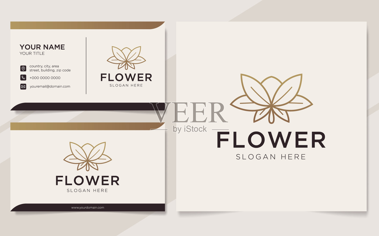 豪华花卉标志和名片模板设计模板素材