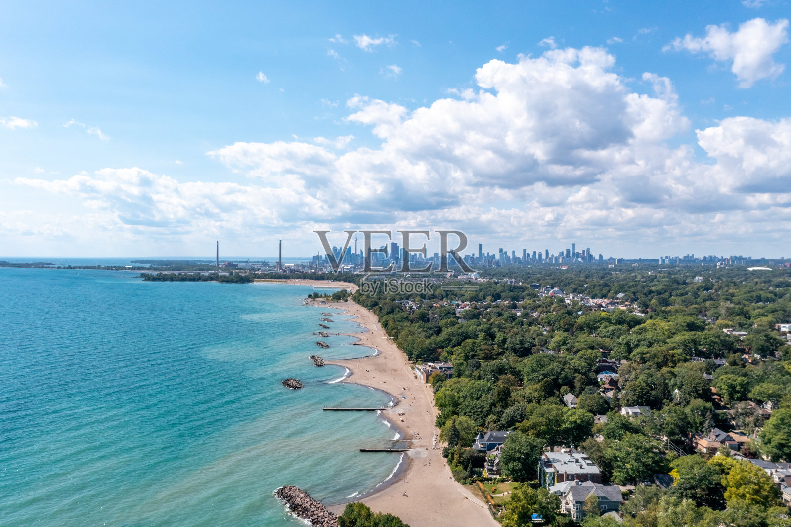 加拿大多伦多的白桦海滩照片摄影图片