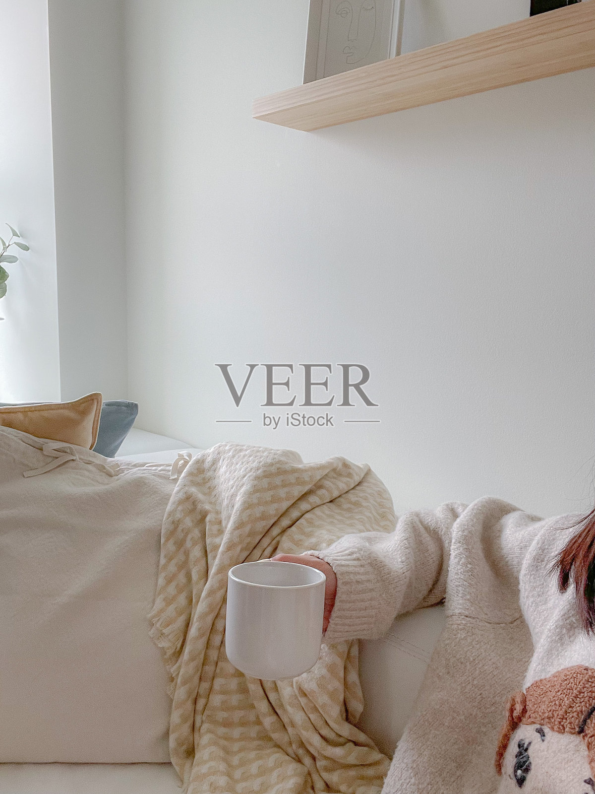 装饰照片摄影图片