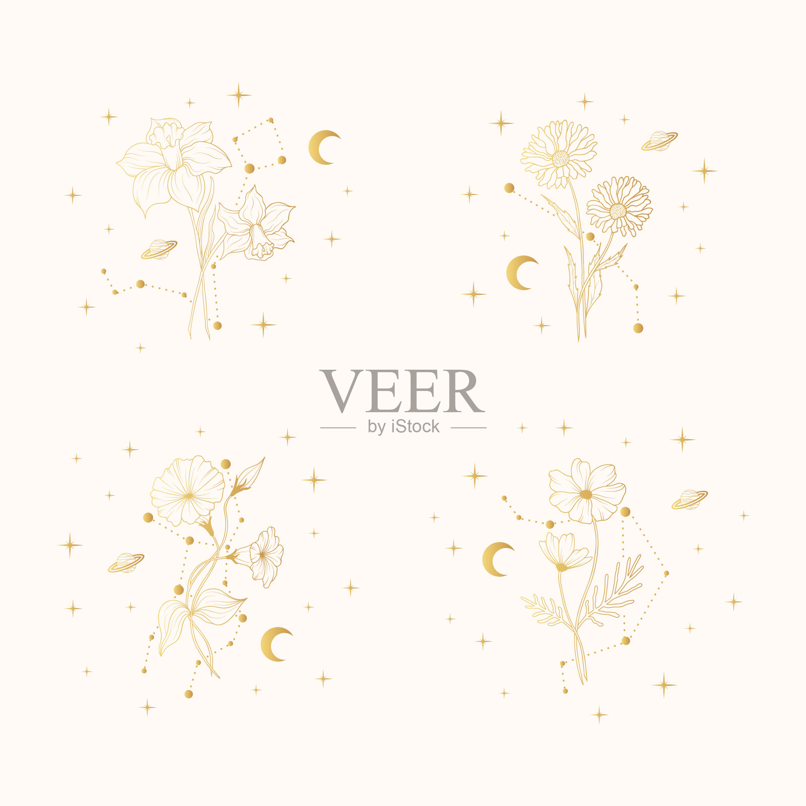 手画黄金套天上出生月花。四向量孤立的精神植物，月亮和星星贺卡和婚礼请柬。插画图片素材