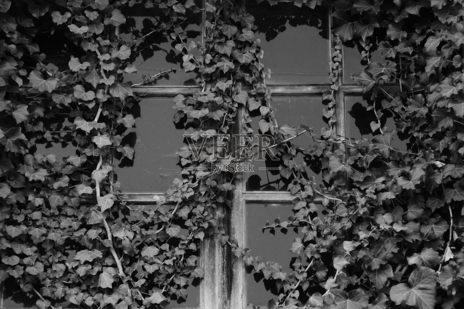 窗户照片摄影图片