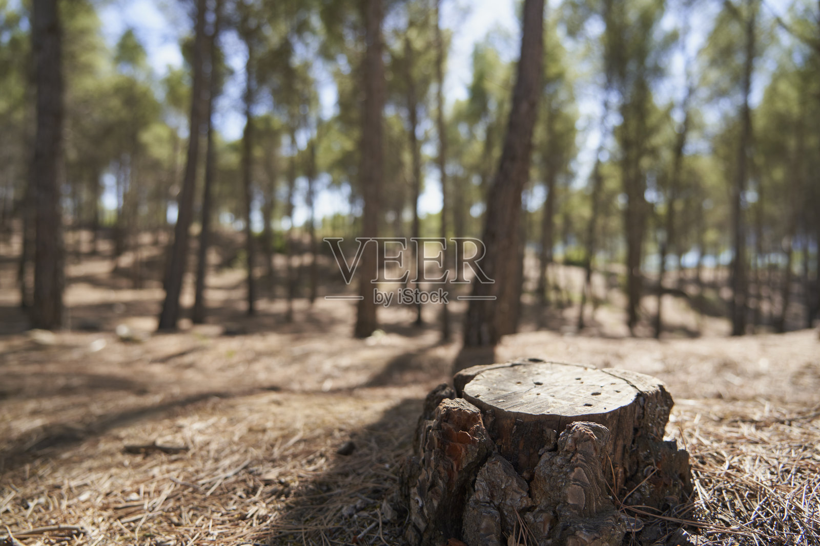 瓜达拉哈拉布恩迪亚水库的景观路线照片摄影图片