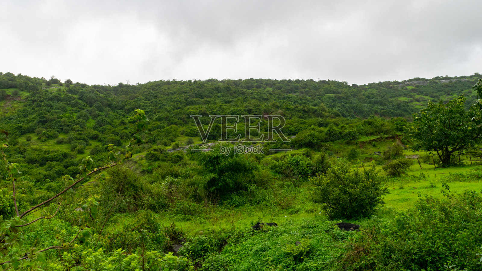 浦那孟买高速公路在雨季照片摄影图片