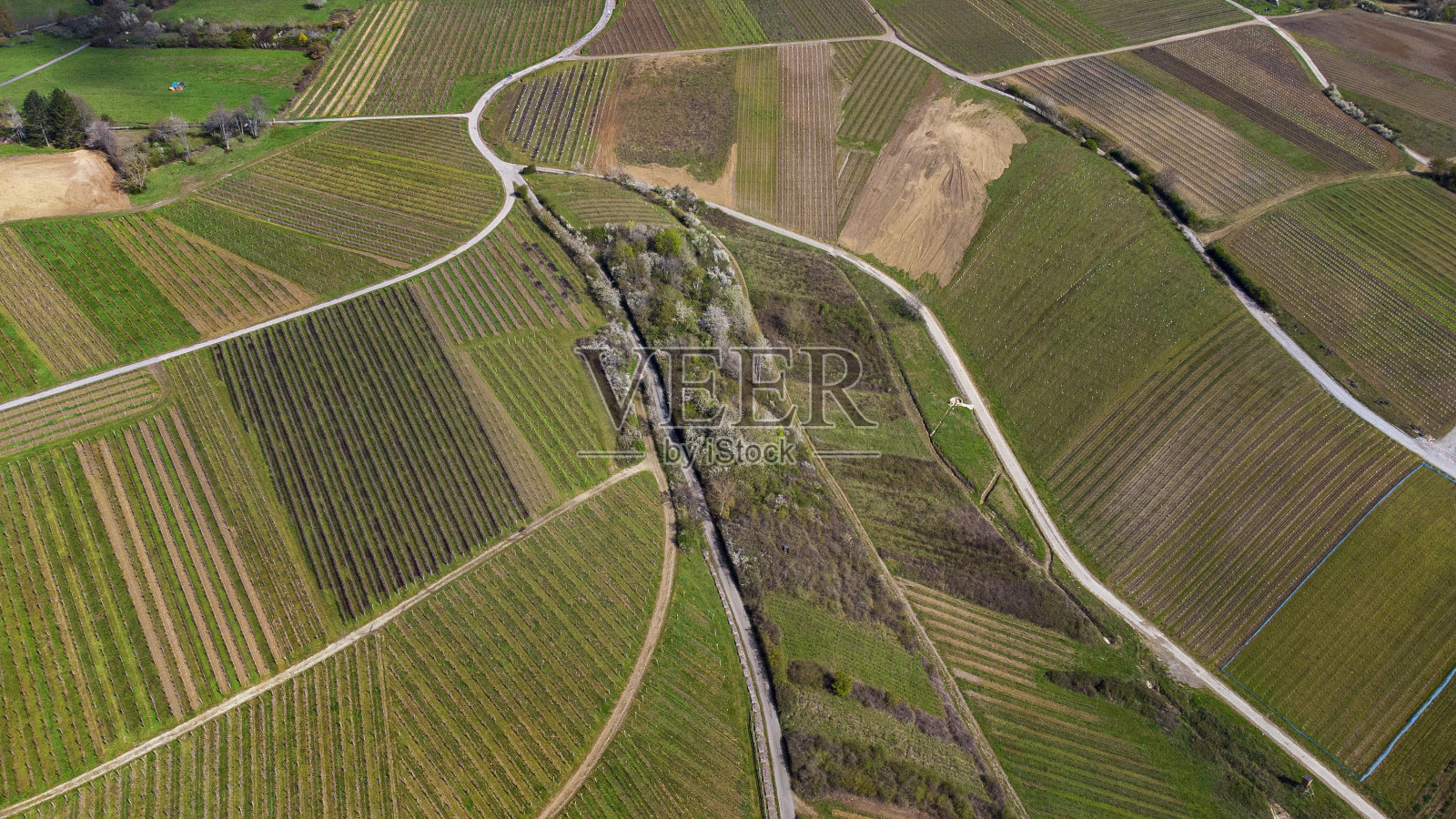 葡萄园的春天，莱茵高鸟瞰照片摄影图片
