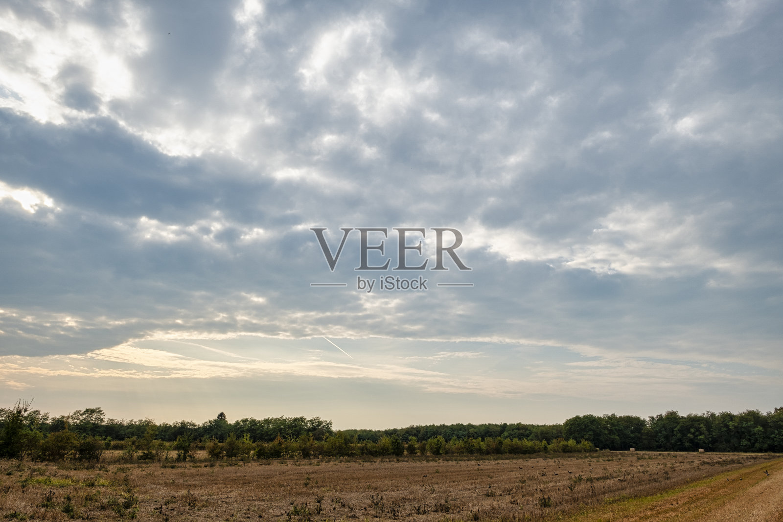 公园里的日落照片摄影图片