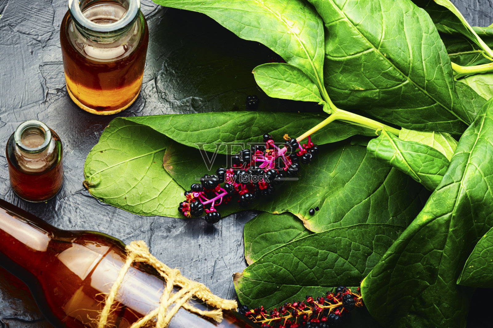 草本植物六甲的花序照片摄影图片