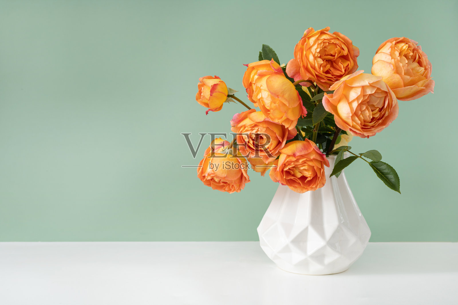 美丽的玫瑰花在现代花瓶照片摄影图片