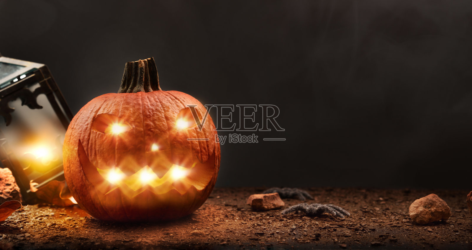 背景万圣节南瓜土与蜘蛛孤立的黑色背景照片摄影图片