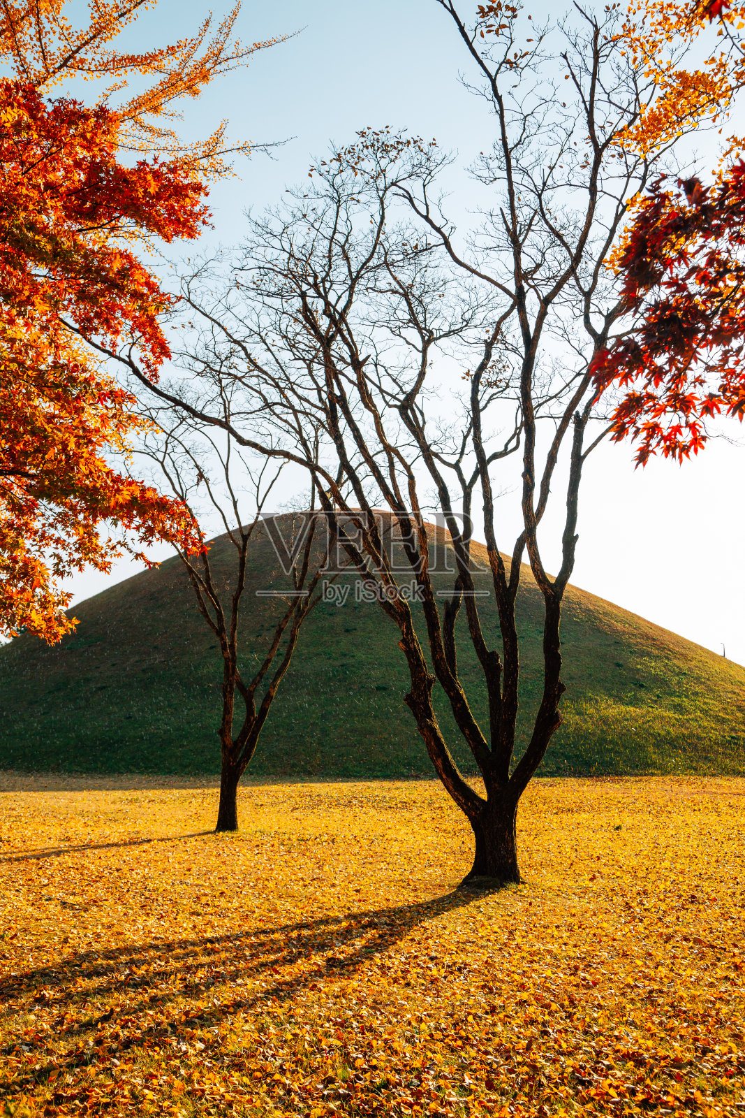 庆州大陵园古墓的秋天照片摄影图片