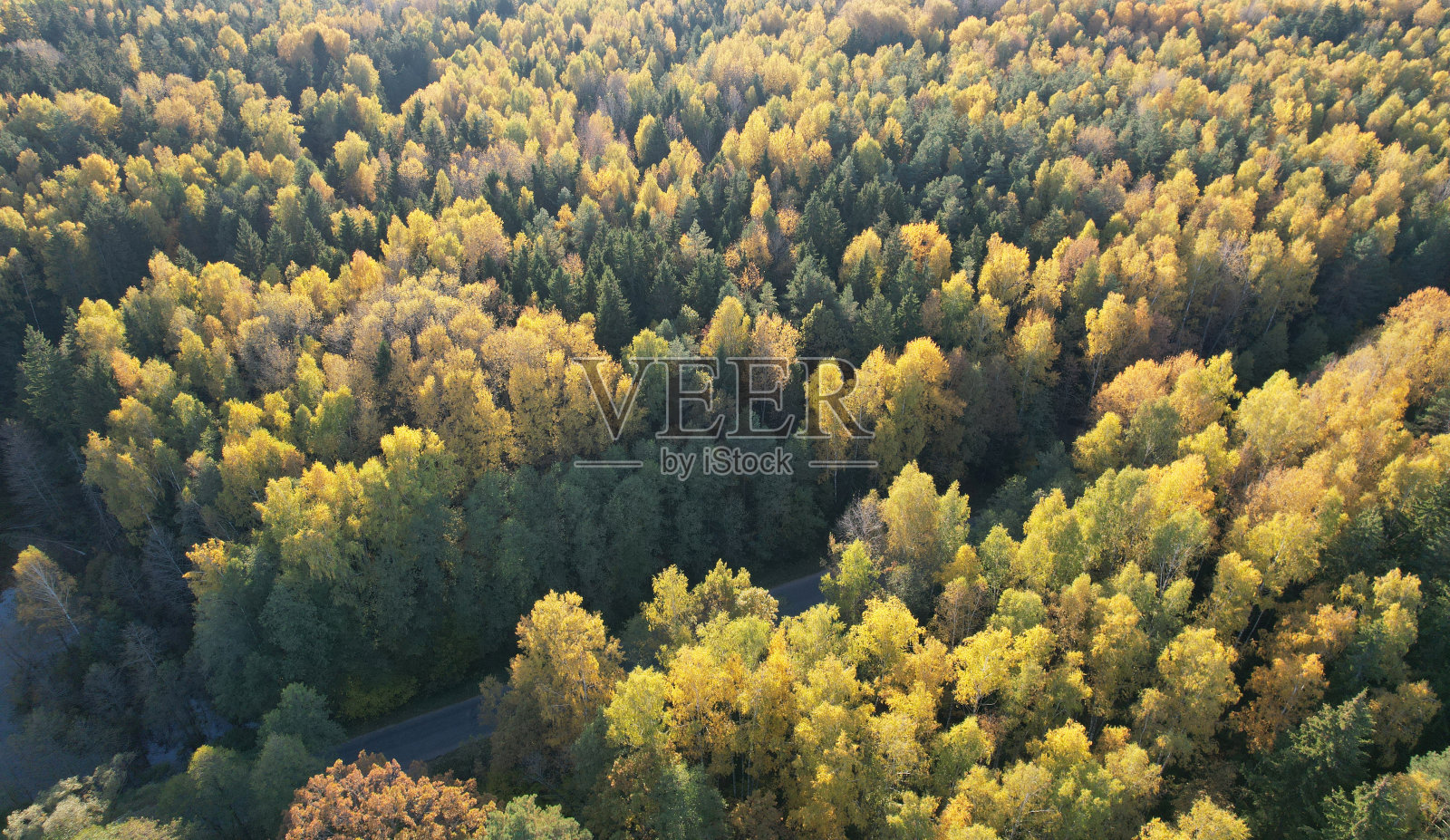 乡间小路上的秋景照片摄影图片