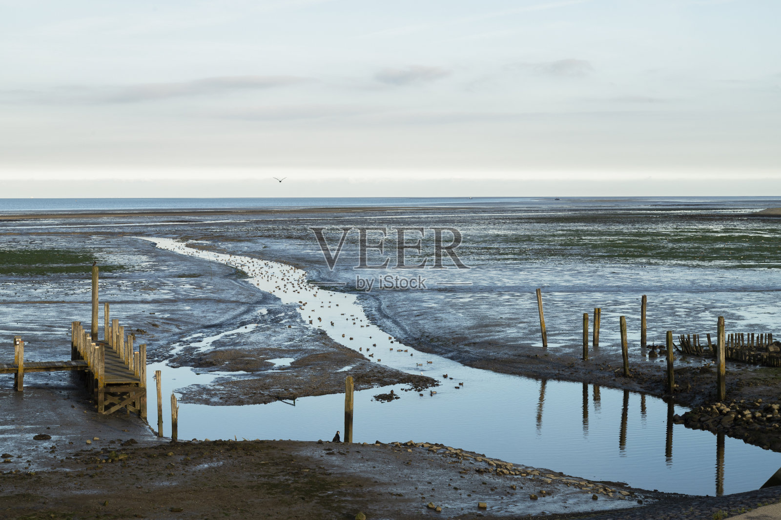 在特塞尔有码头的老港口照片摄影图片