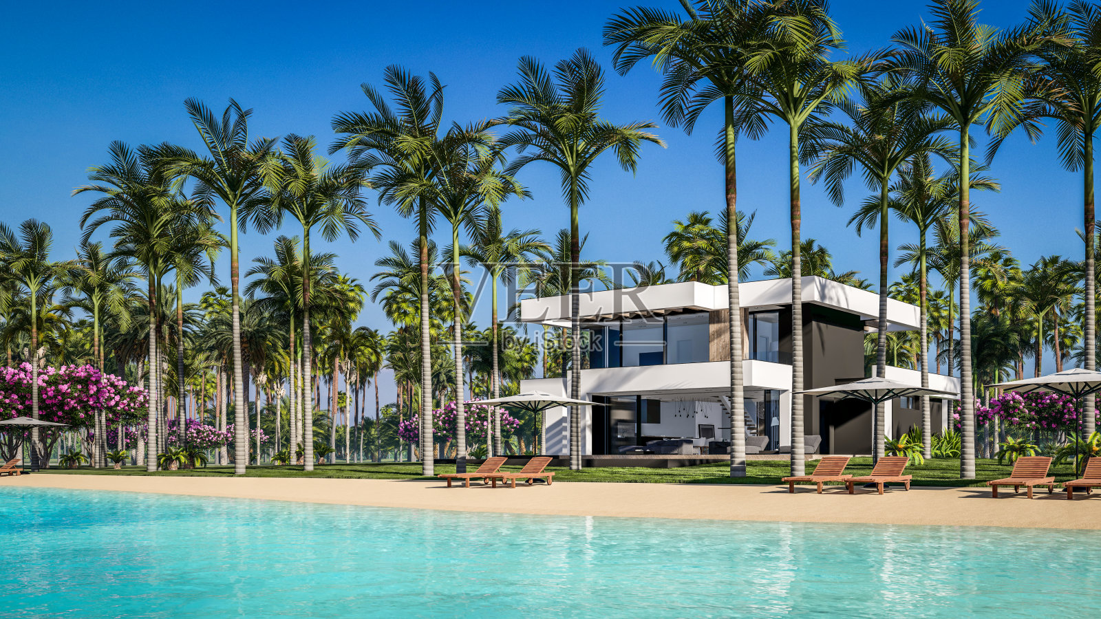 海边豪华风格现代住宅的3D渲染照片摄影图片