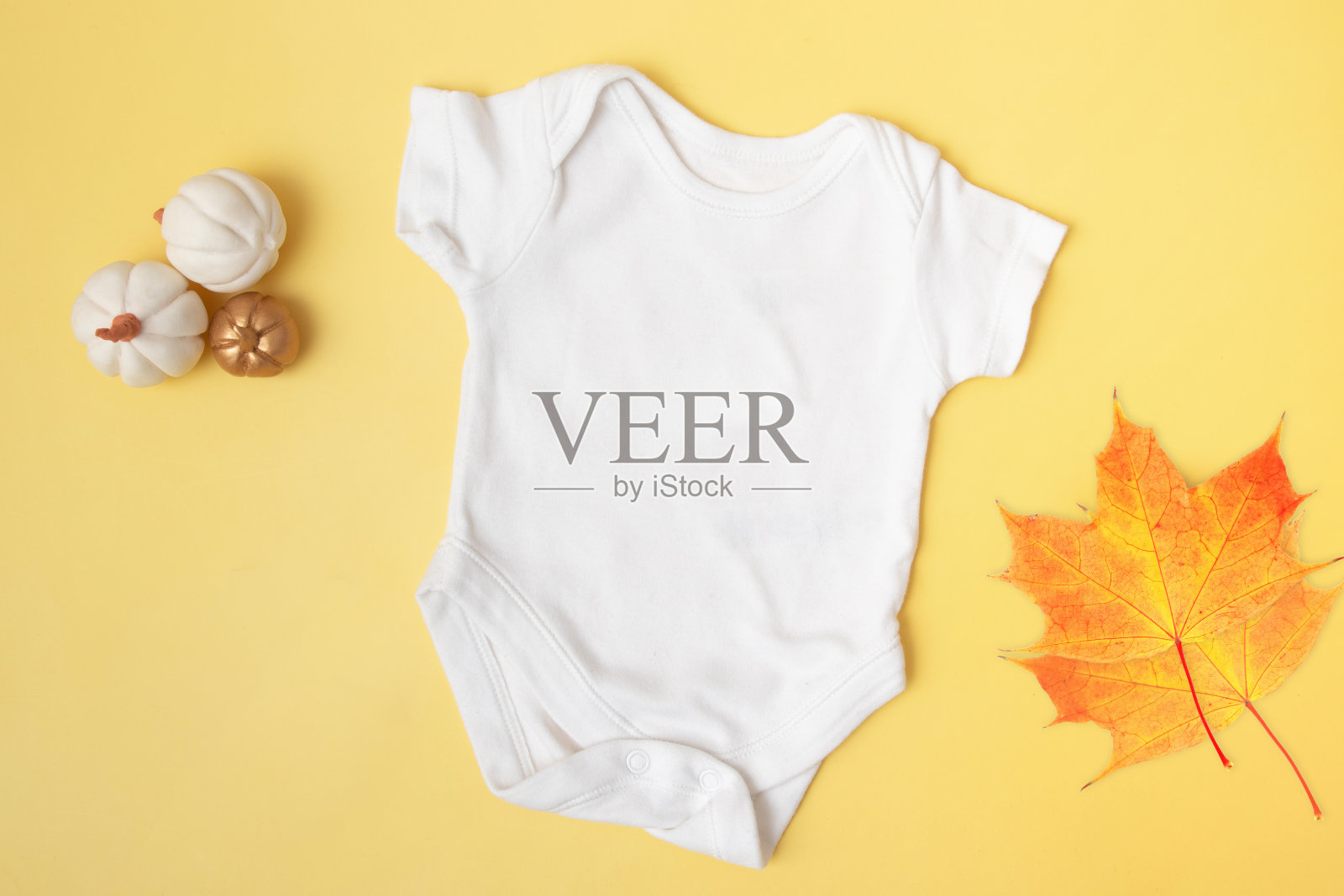 婴儿clobodysuit模拟俯视图南瓜和枫叶的黄色背景为您的文本或标志的地方在秋天的季节照片摄影图片