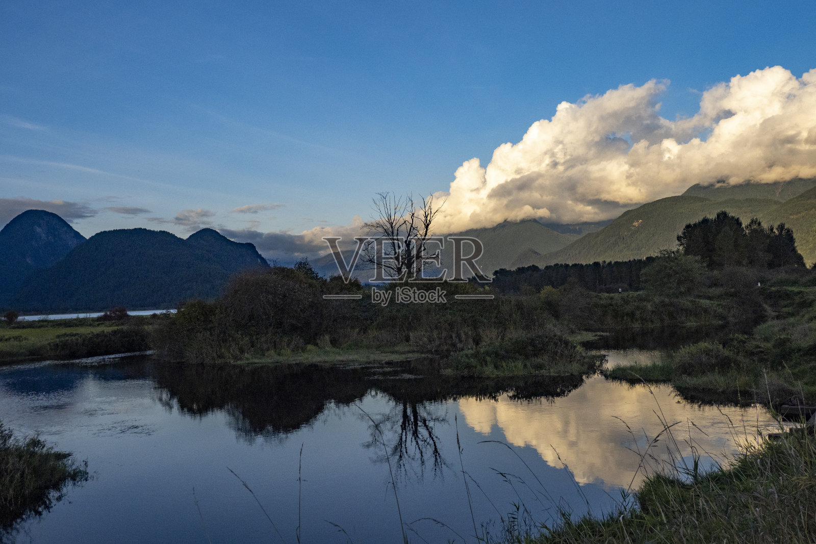 皮特圩田生态保护区的景点照片摄影图片