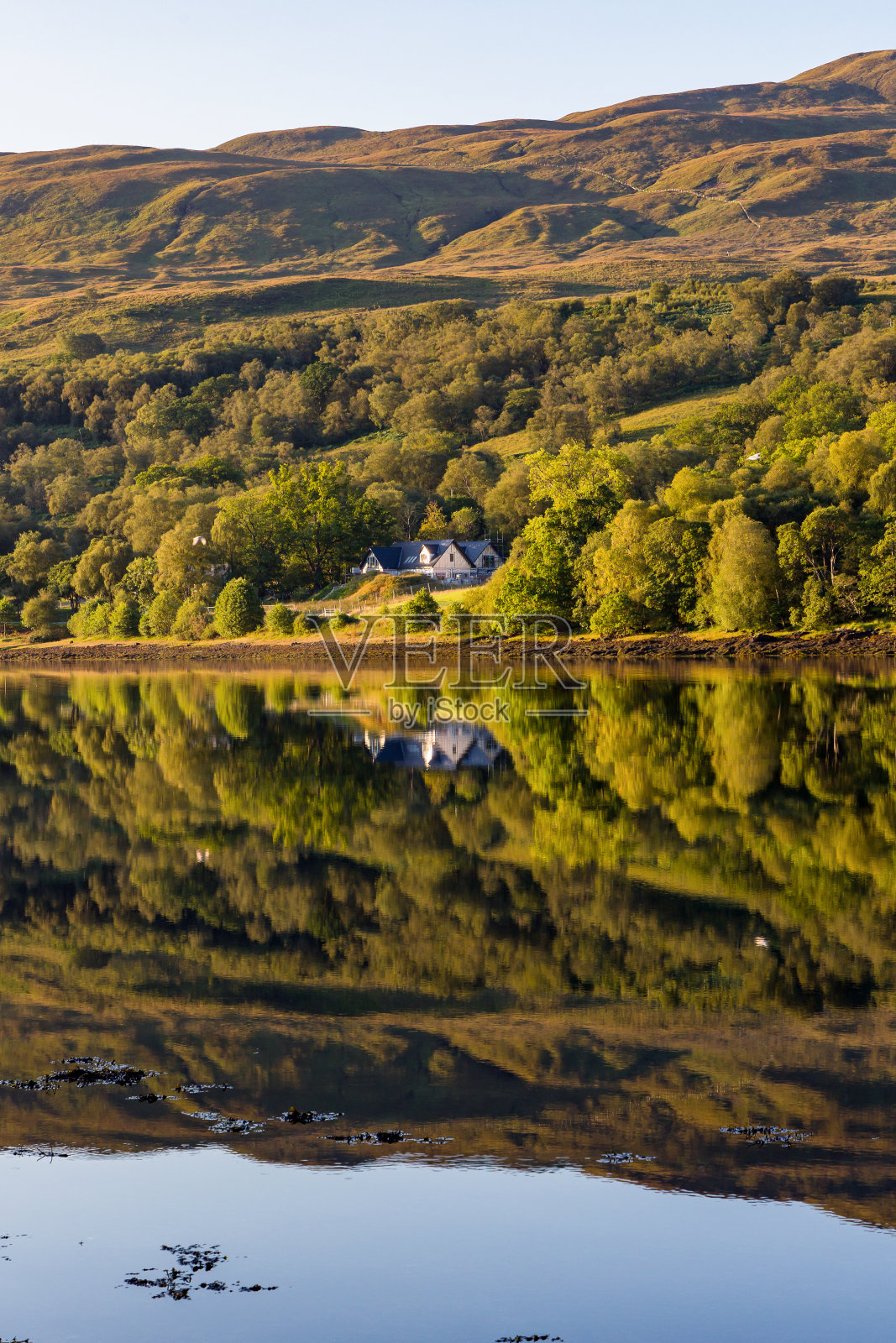 清晨阳光下美丽的苏格兰湖上的完美倒影(威廉堡的Eil湖)照片摄影图片