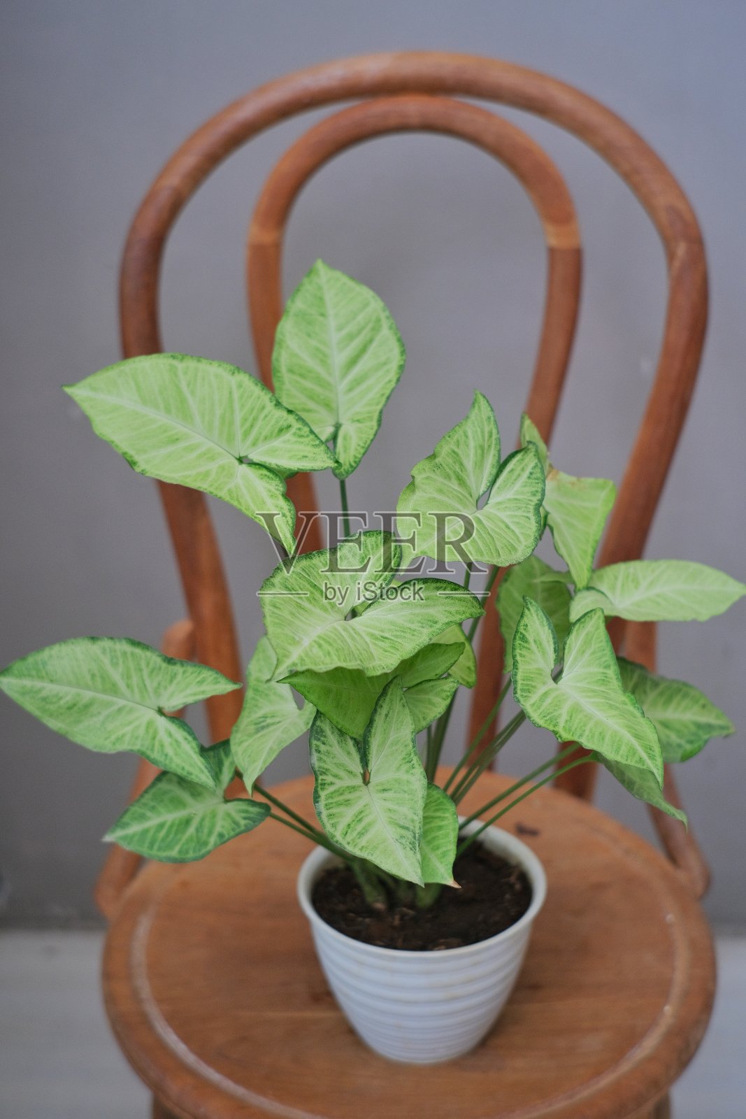 同步工厂照片摄影图片