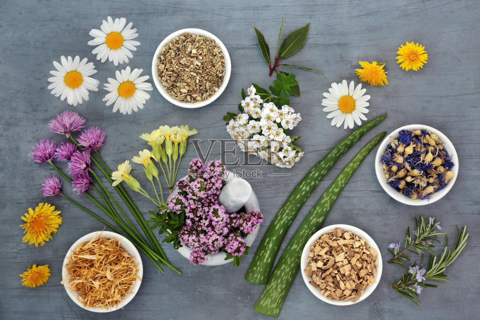 花卉和草药使用的天然植物为基础的草药医学照片摄影图片