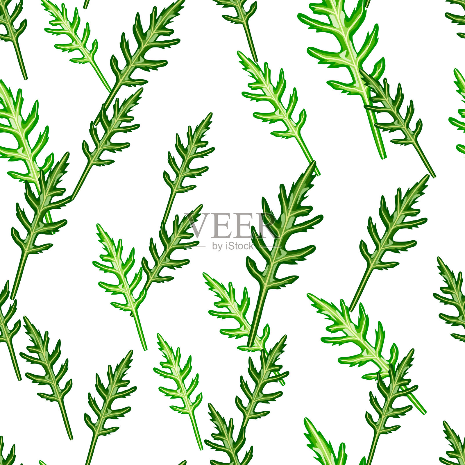 无缝图案串芝麻菜沙拉在白色的背景。简单的装饰与生菜。插画图片素材