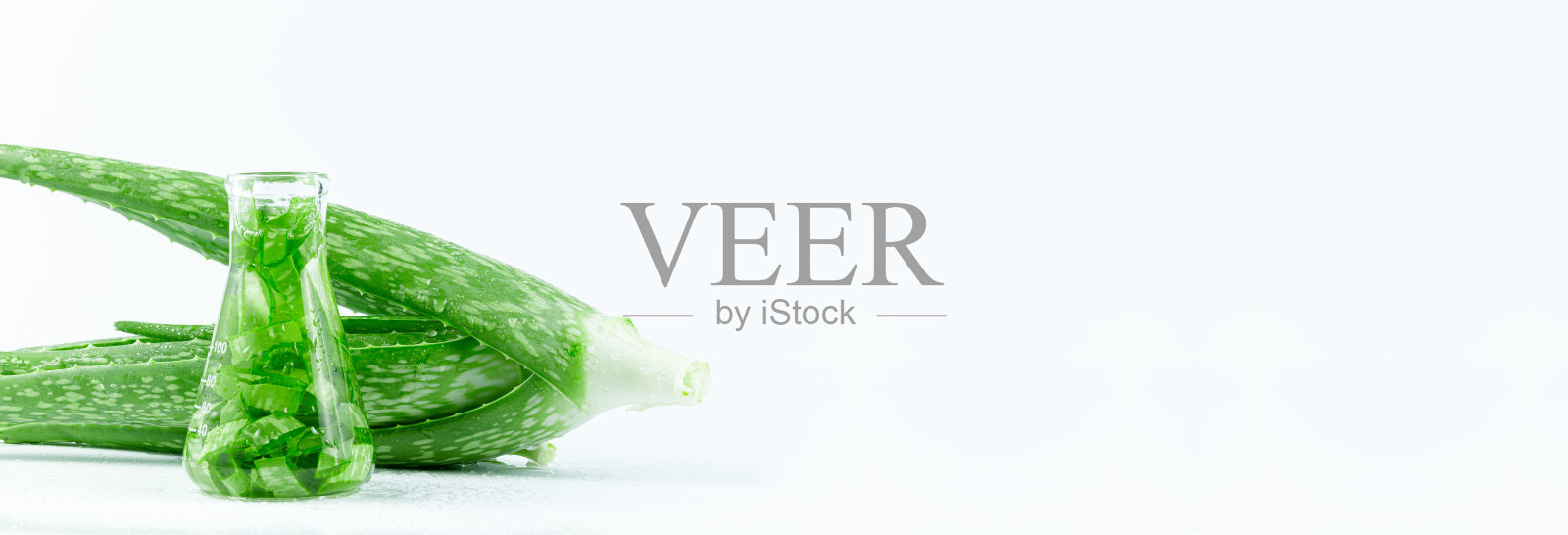 芦荟精油在热带叶背景，新鲜芦荟切片与植物和水滴分离在白色背景。照片摄影图片