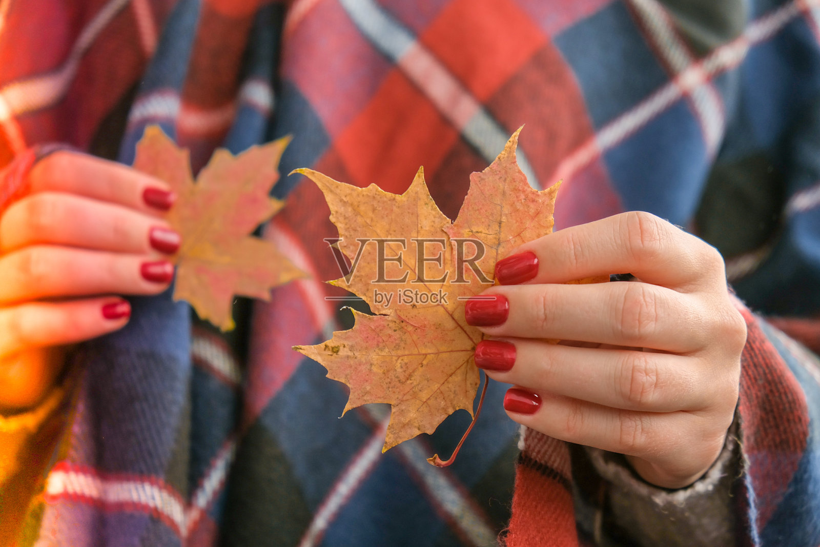 时尚的红色女性指甲。落叶在手中。现代的漂亮的指甲。秋季美甲设计理念美容治疗。凝胶的指甲。皮肤护理照片摄影图片